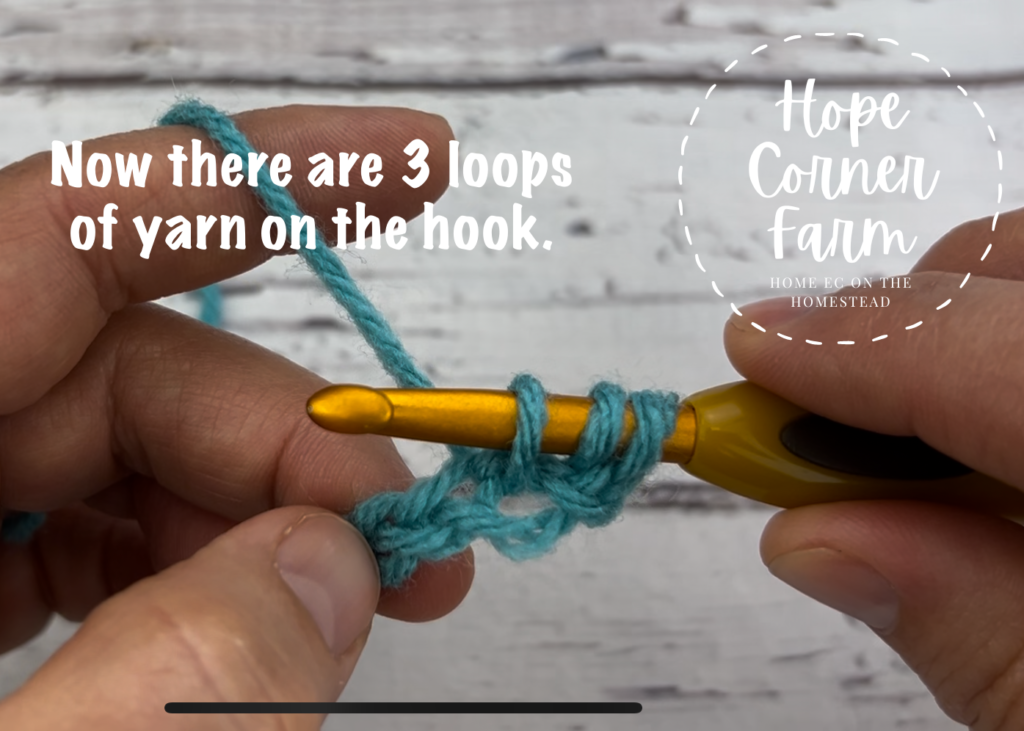 3 loops of yarn on the crochet hook