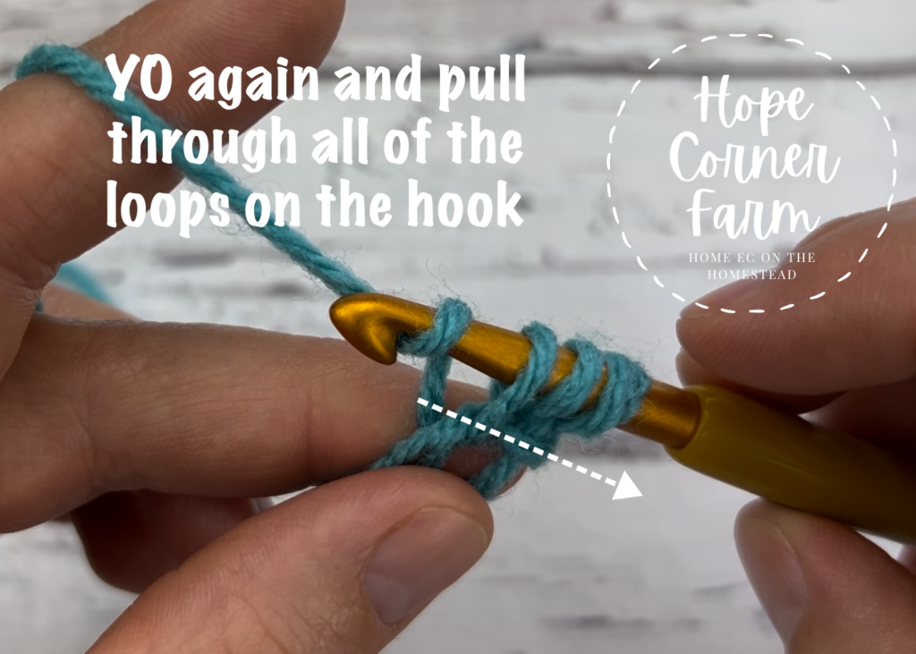 Yarn over and pull through all 3 loops on the hook