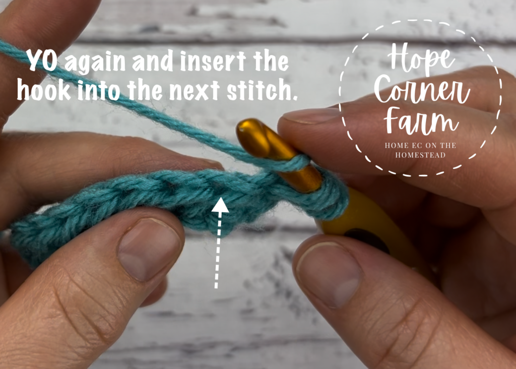 Yarn over again and insert the crochet hook into the next crochet stitch