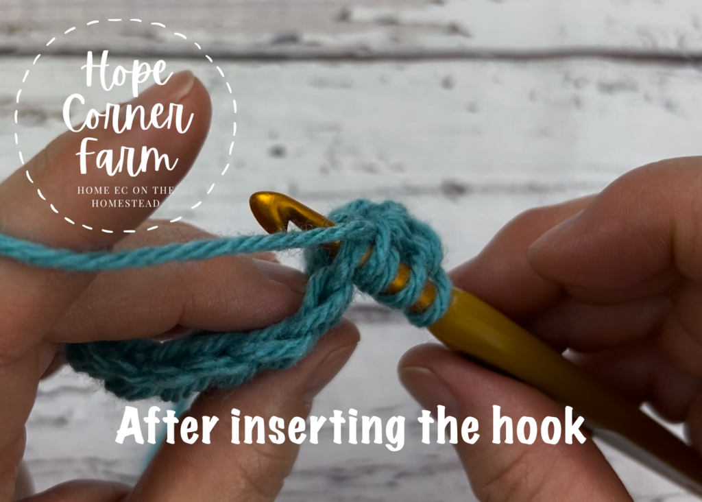 After working into the second crochet stitch for the paired half double crochet stitch