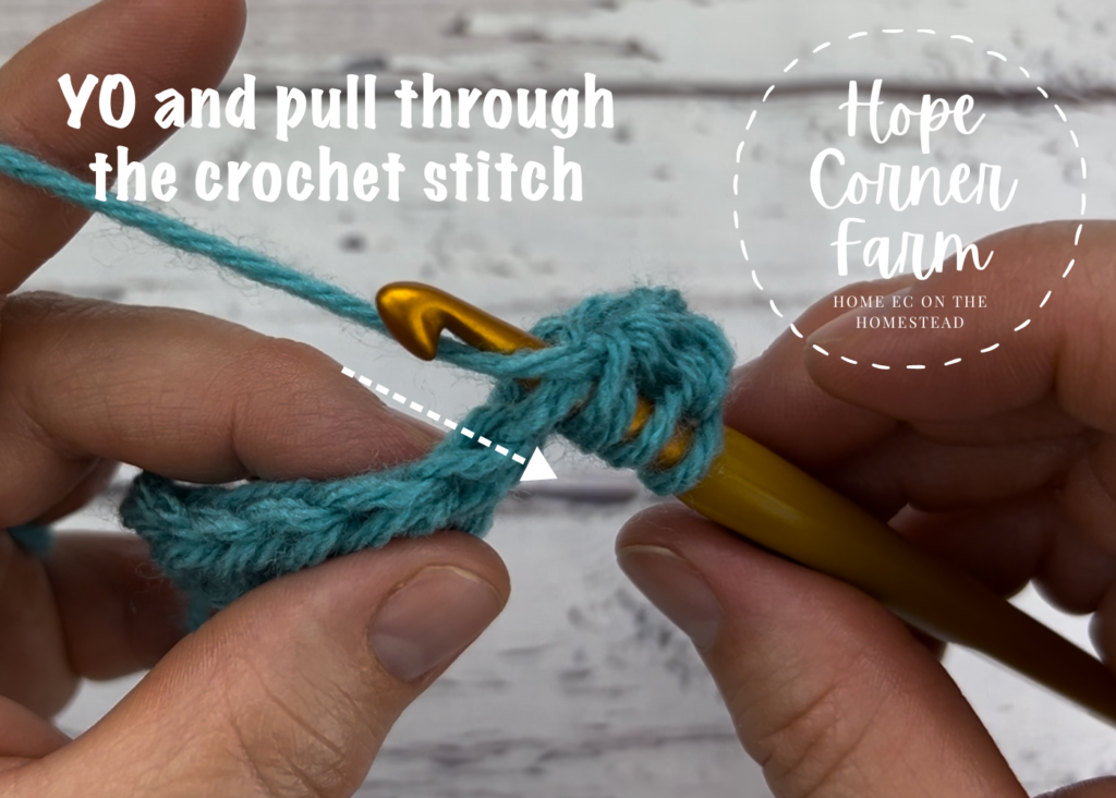 yarn over and pull through the crochet stitch