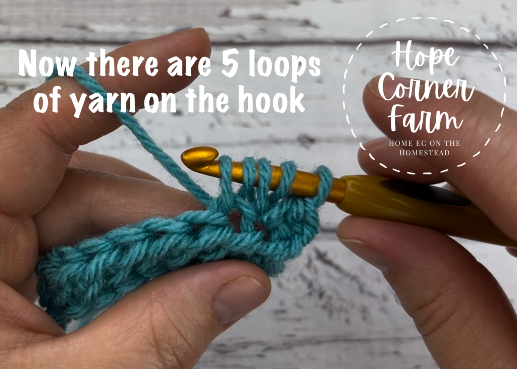 Now there are 5 loops of yarn on the crochet hook