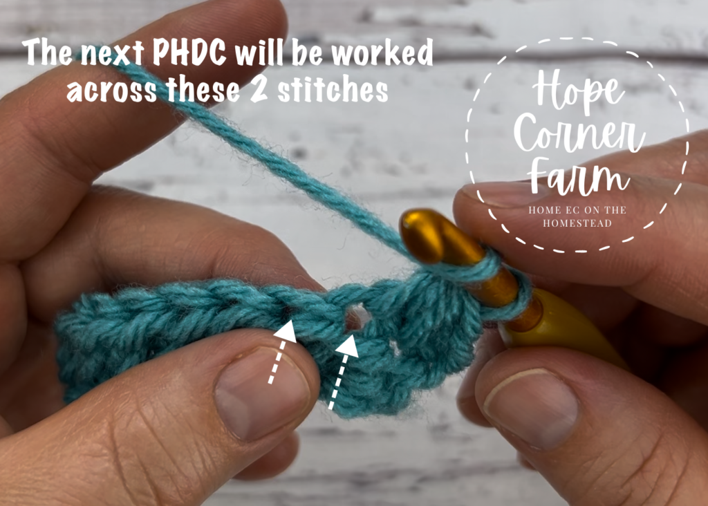 Where to work the next paired half double crochet stitch