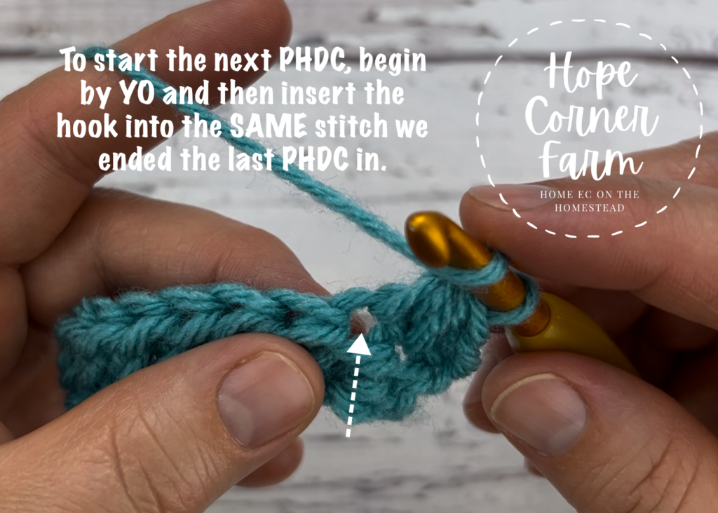 Start by yarning over and insert into the same stitch the HDC was worked into