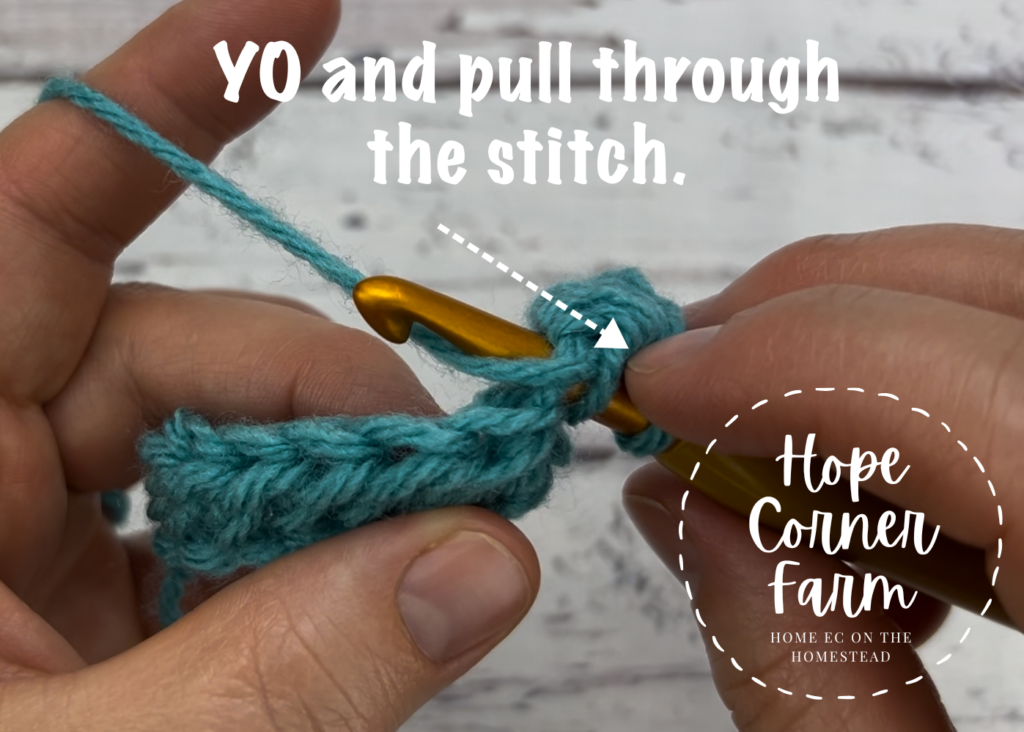 Yarn over and pull through the stitch