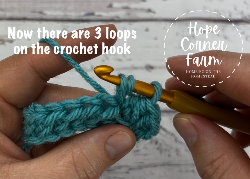 Now there are 3 loops of yarn on the crochet hook