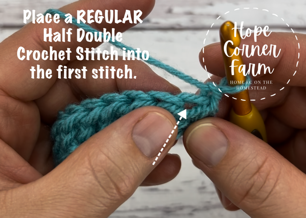 Place a regular half double crochet in the first stitch