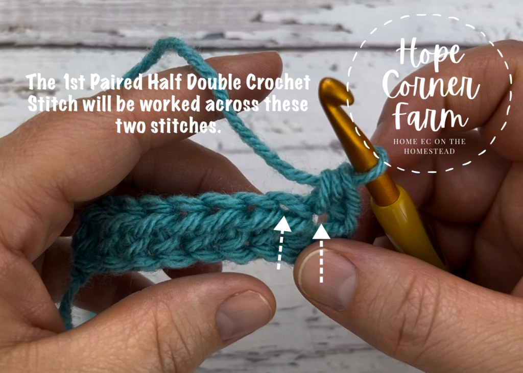 Where to work the 1st paired half double crochet stitch