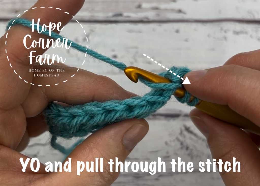 Yarn over and pull through the crochet stitch