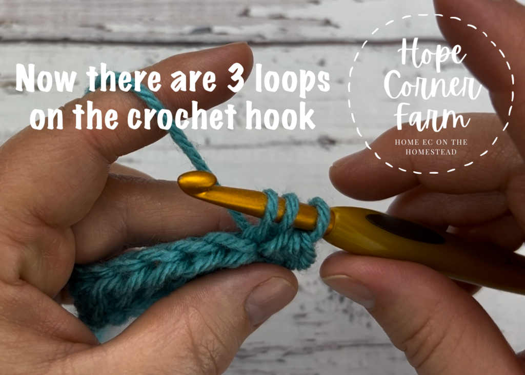 Now there are 3 loops of yarn on the crochet hook