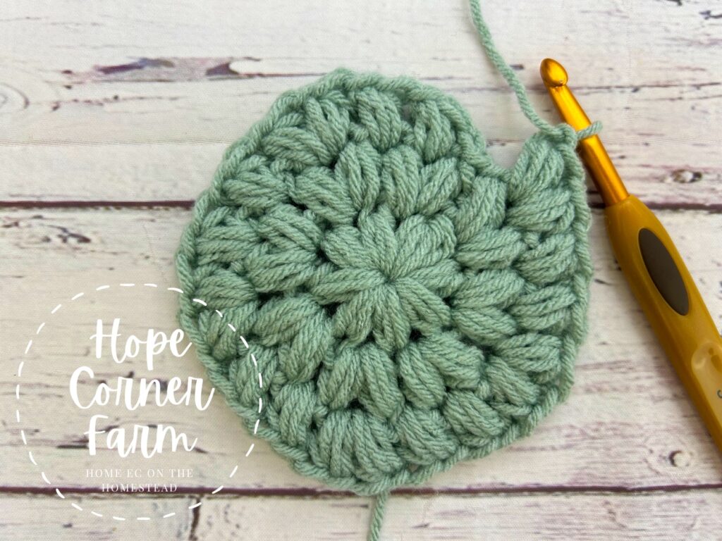 crochet puff stitches and chain 1 around the circle