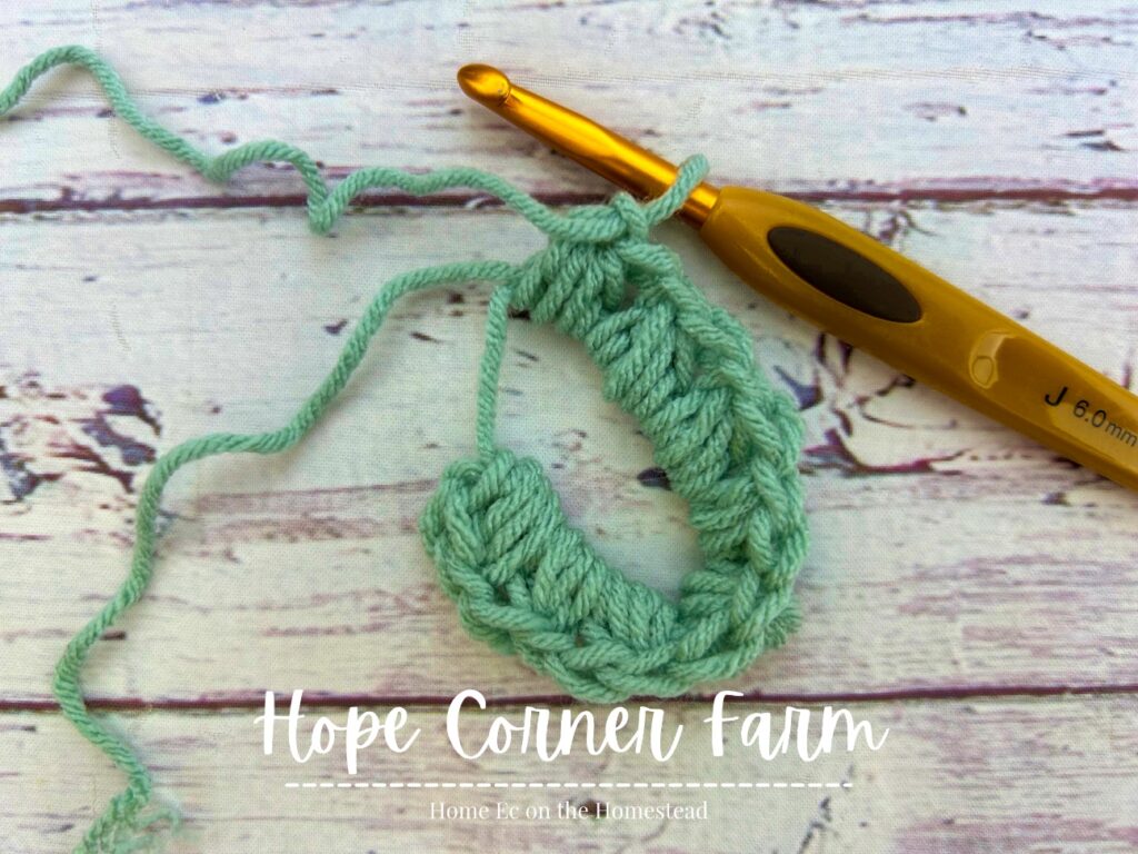 8 (crochet puff stitch, chain 1) combinations in a magic circle