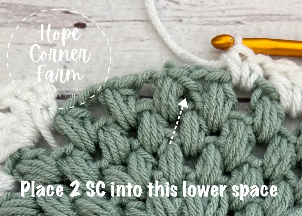 Stitch placement for the single crochet stitches