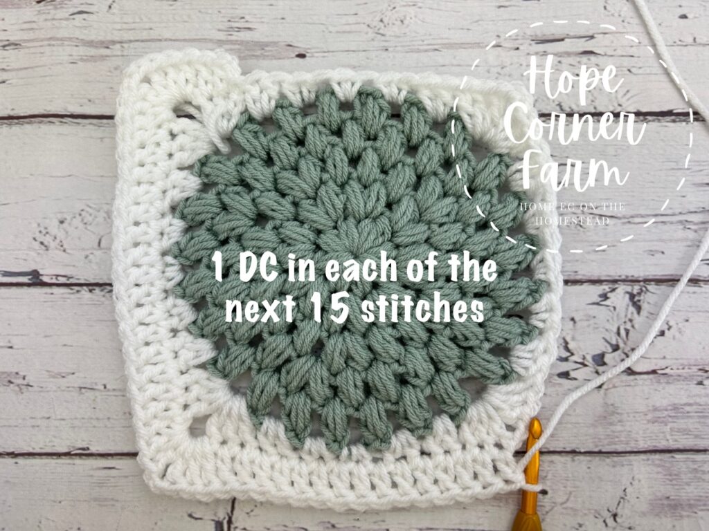 Put 1 double crochet stitch in each of the next 15 crochet stitches