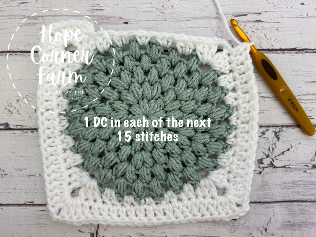 Put 1 double crochet stitch in each of the next 15 stitches