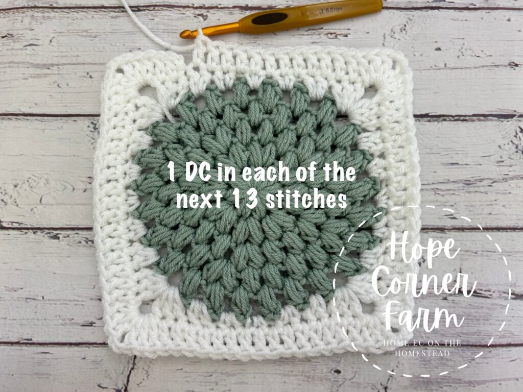 Place 1 double crochet stitch in each of the next 13 stitches