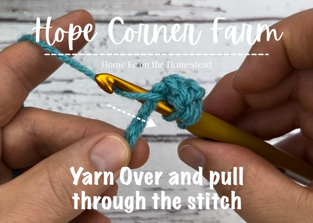 Yarn Over and pull through the crochet stitch