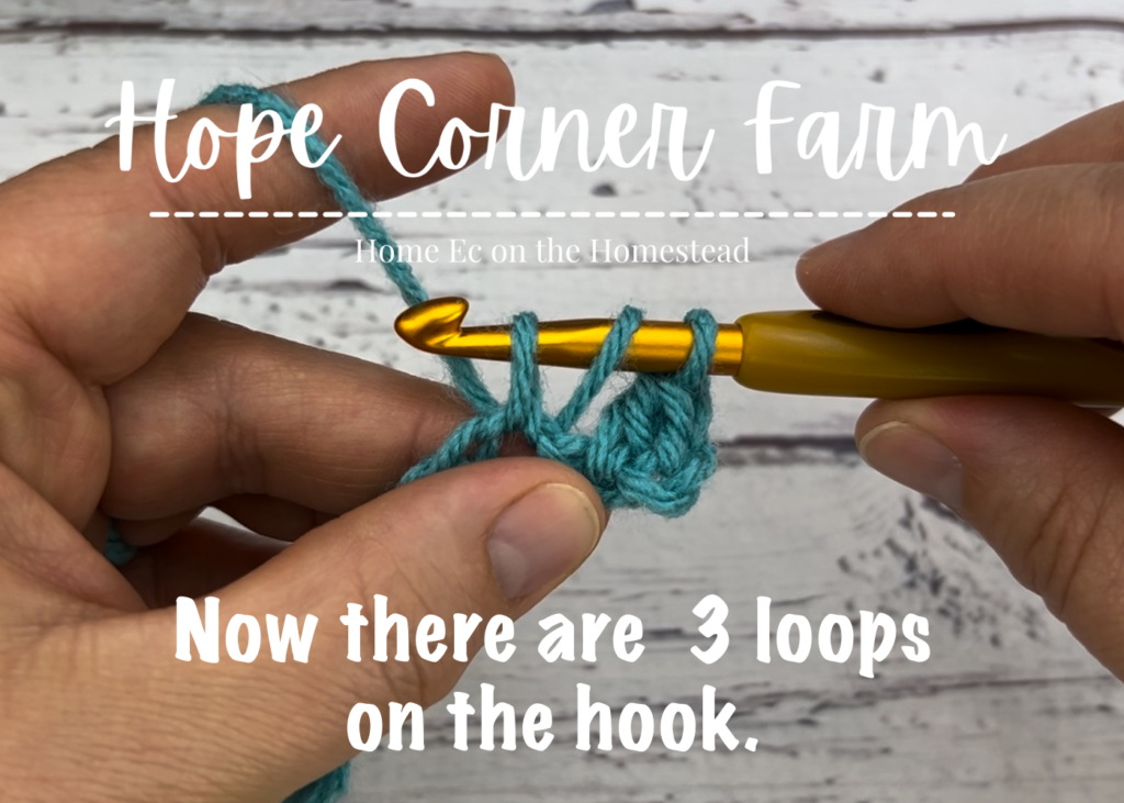 Now there are 3 loops of yarn on the crochet hook