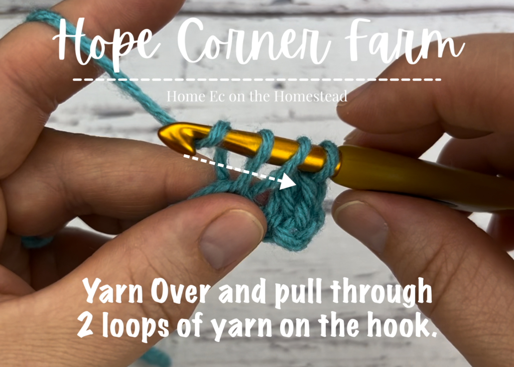 Yarn over and pull through 2 loops of yarn on the crochet hook