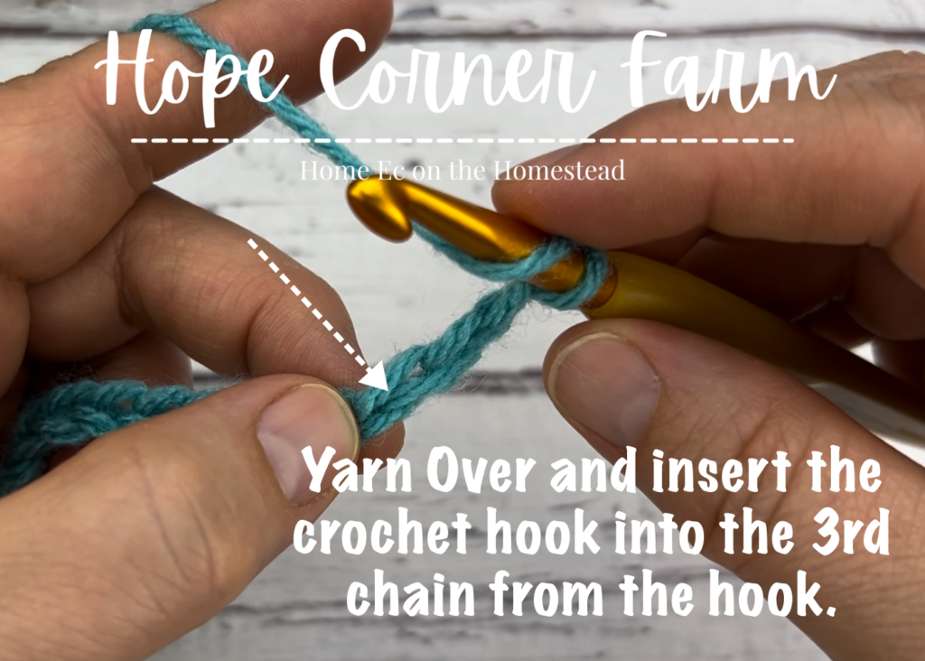 Yarn over and insert the crochet hook into the 3rd chain from the crochet hook