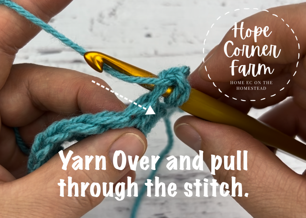 Yarn over and pull through the stitch