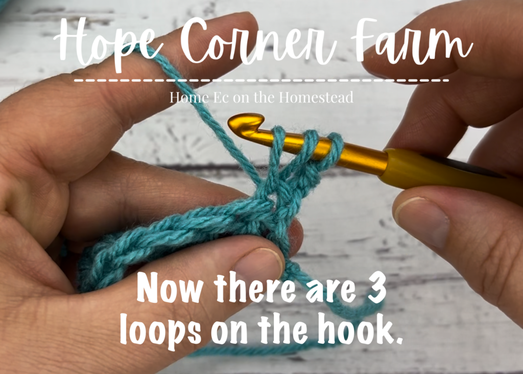 3 loops of yarn on the crochet hook