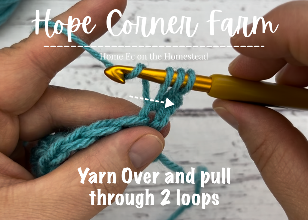 yarn over and pull through 2 loops of yarn