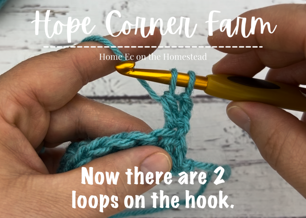 2 loops of yarn on the crochet hook