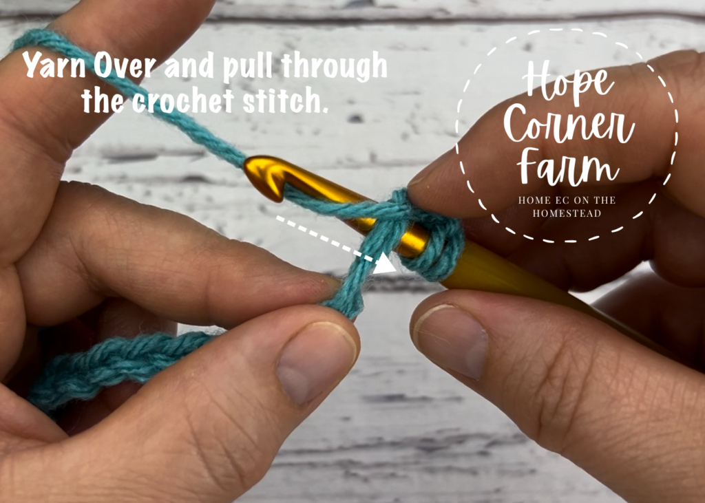 Yarn over and pull through the crochet chain stitch