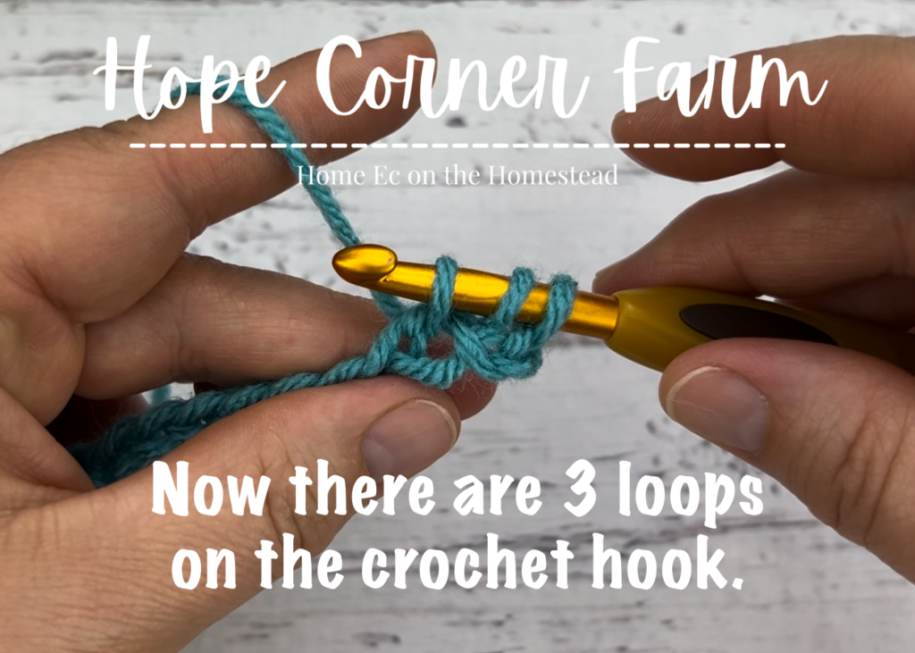 Now there are 3 loops of yarn on the crochet hook