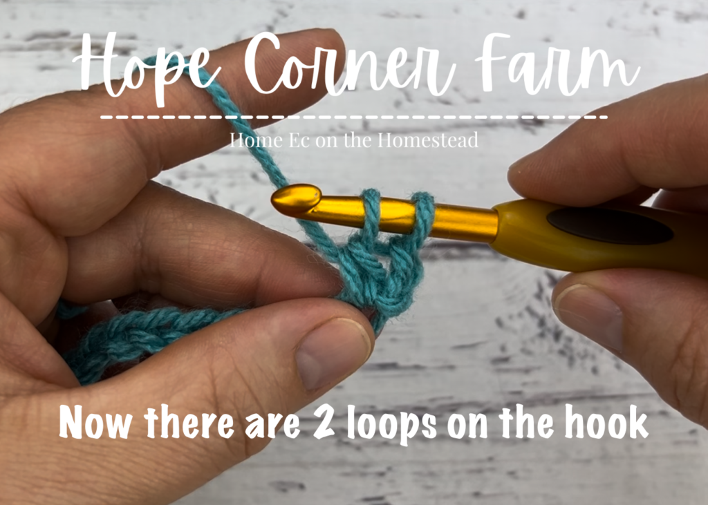 Now there are 2 loops of yarn on the crochet hook