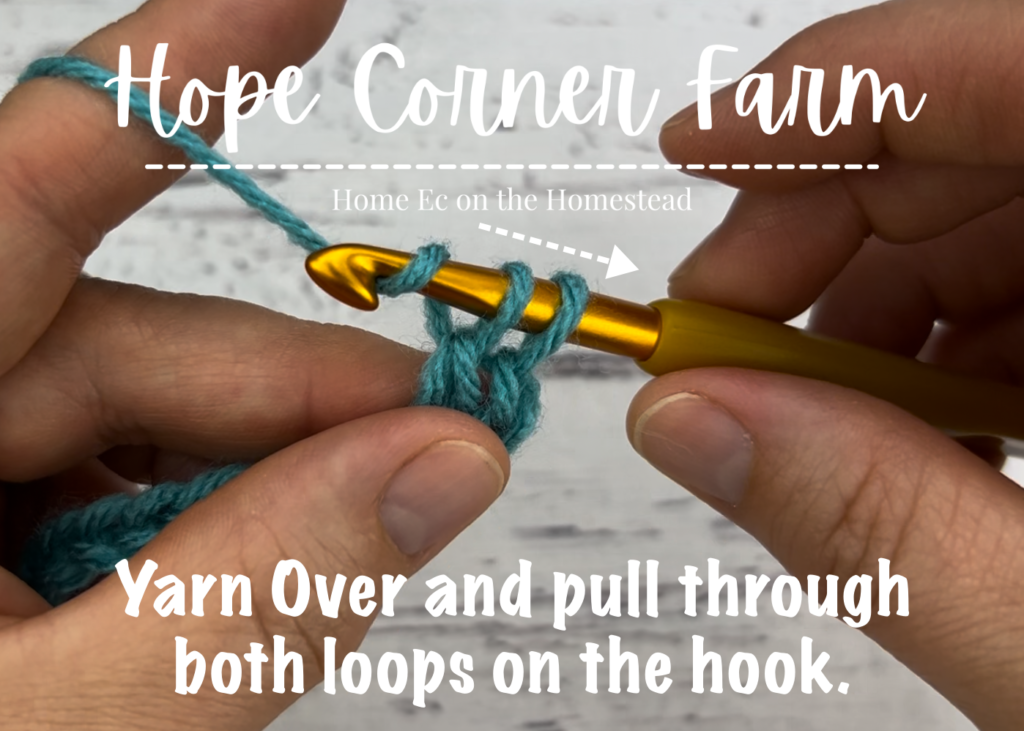 Yarn Over and pull through both loops of yarn on the hook