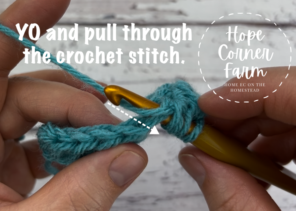 Yarn over and pull through the crochet stitch