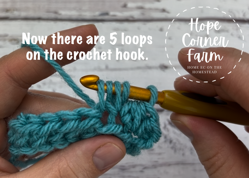 Now there are 5 loops of yarn on the crochet hook