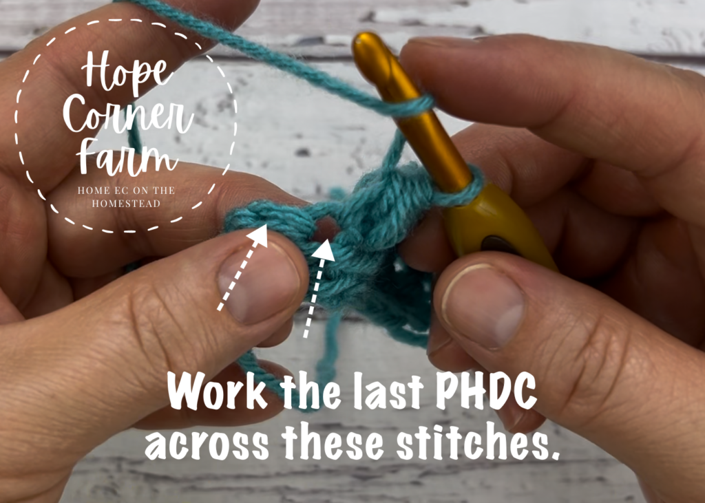 Where to work the last paired half double crochet stitch