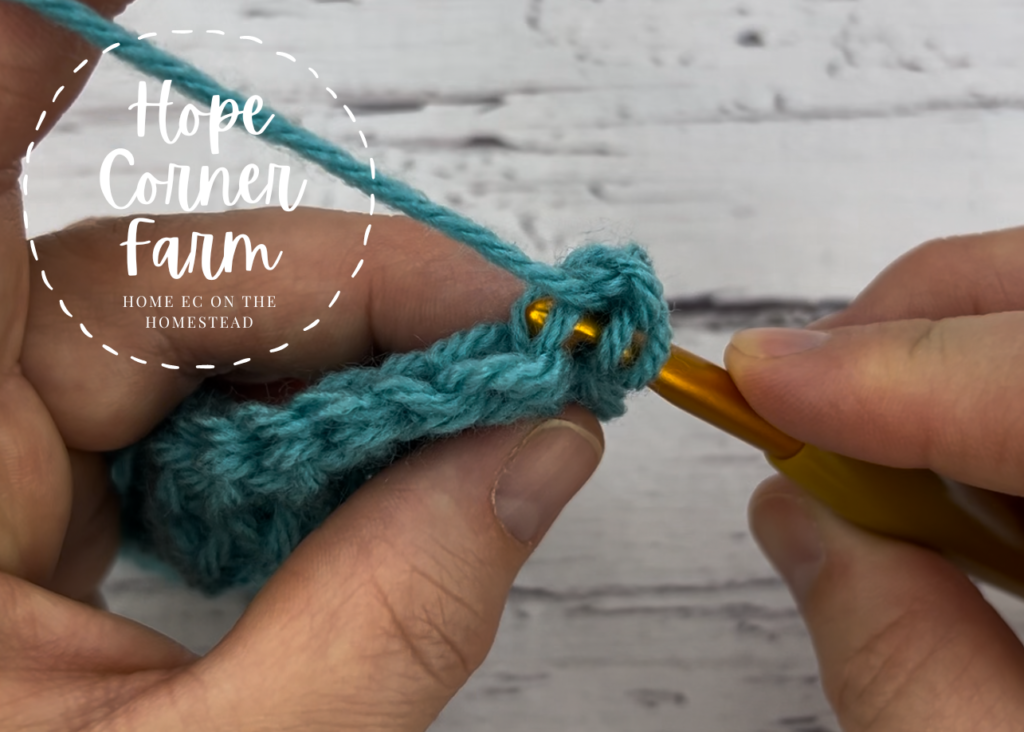 How to insert the crochet hook to pick up the front loop only