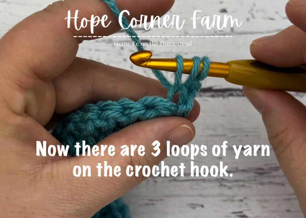 3 loops of yarn on the crochet hook