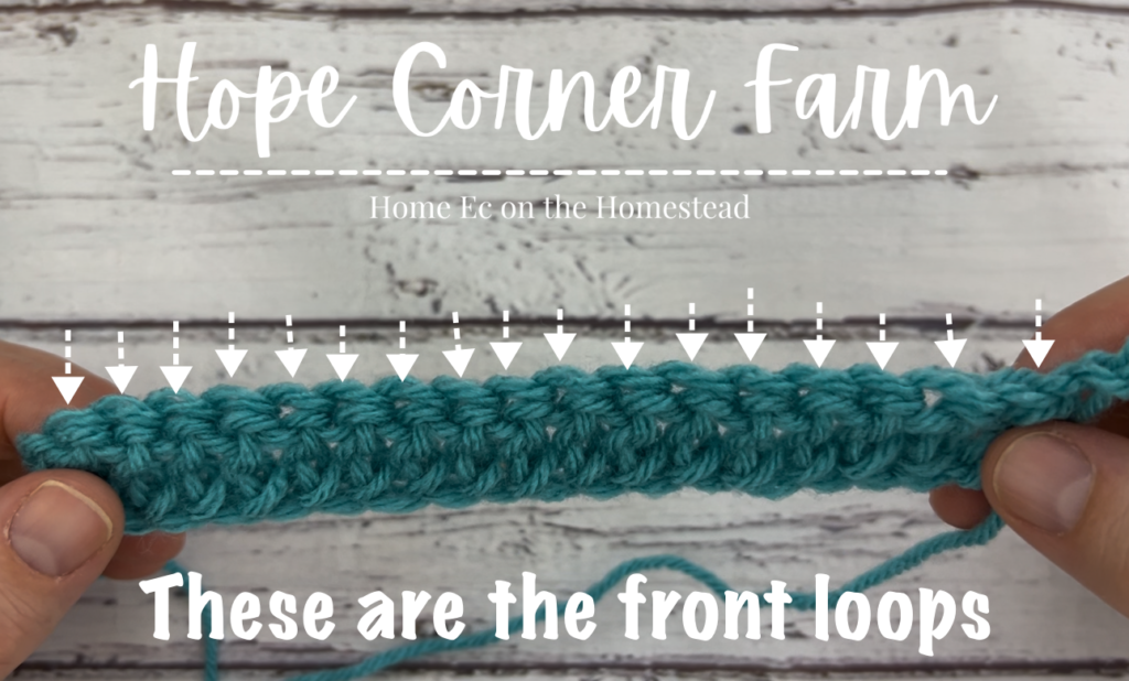 These are the front loops of the crochet hook