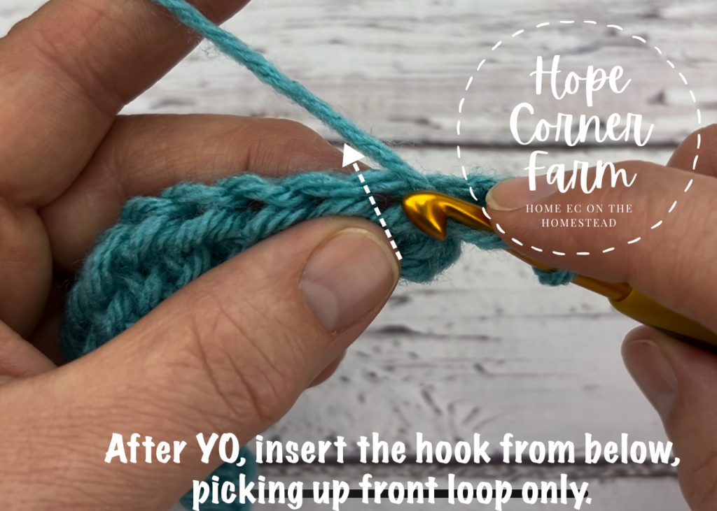 YO and insert the crochet hook into the previous row of stitches