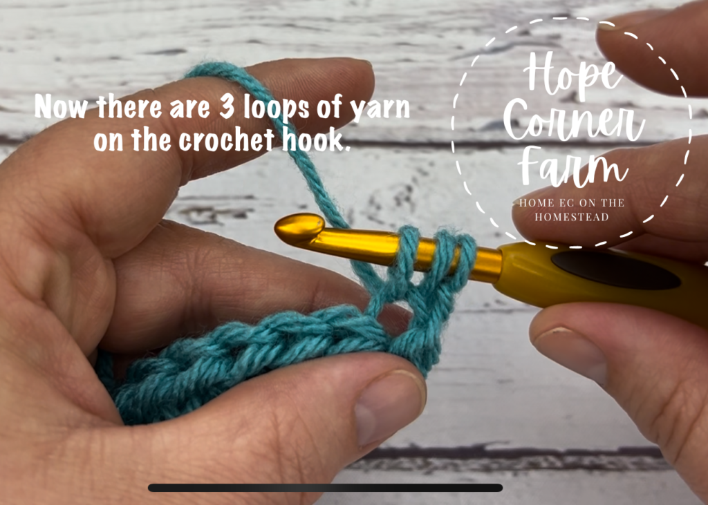 3 loops of yarn on the crochet hook