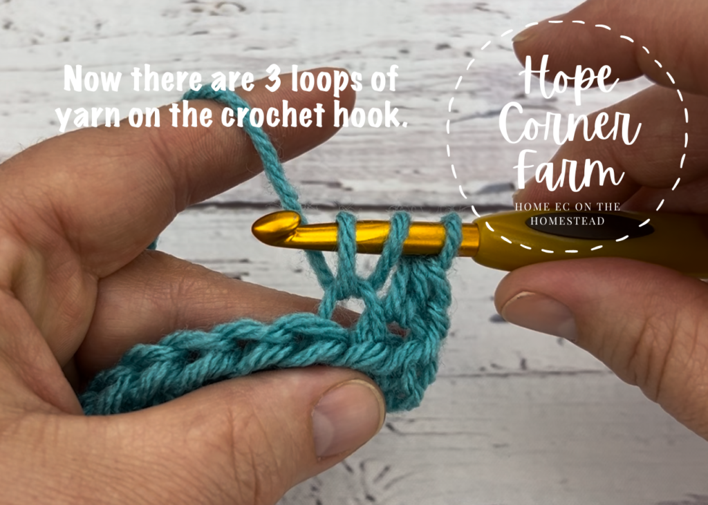 3 loops of yarn on the crochet hook