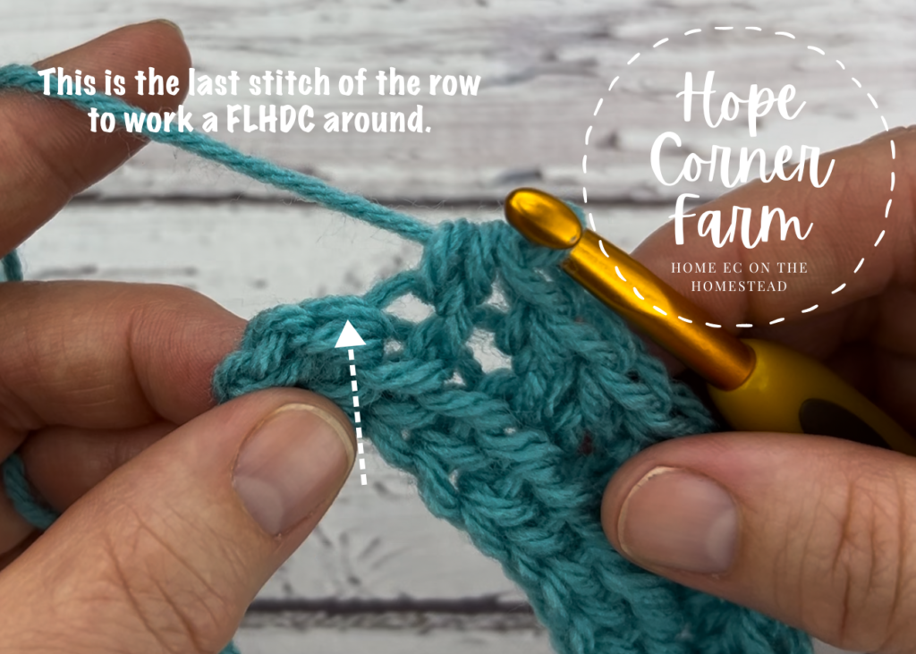 The last crochet stitch of the row 