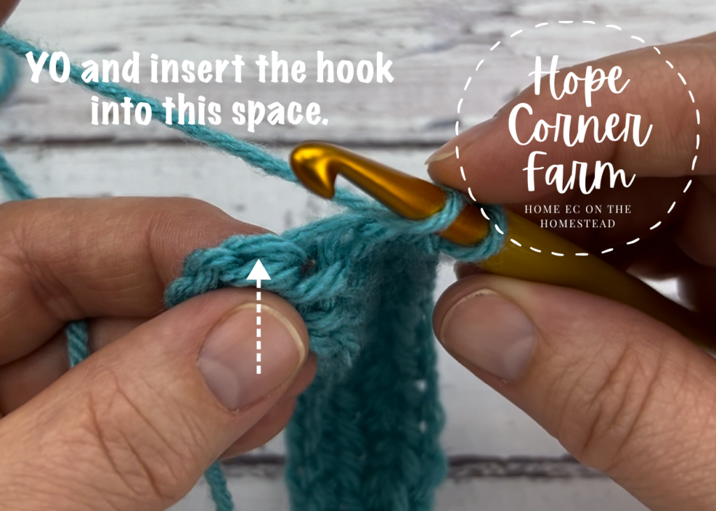 Yarn over and insert the crochet hook into this space