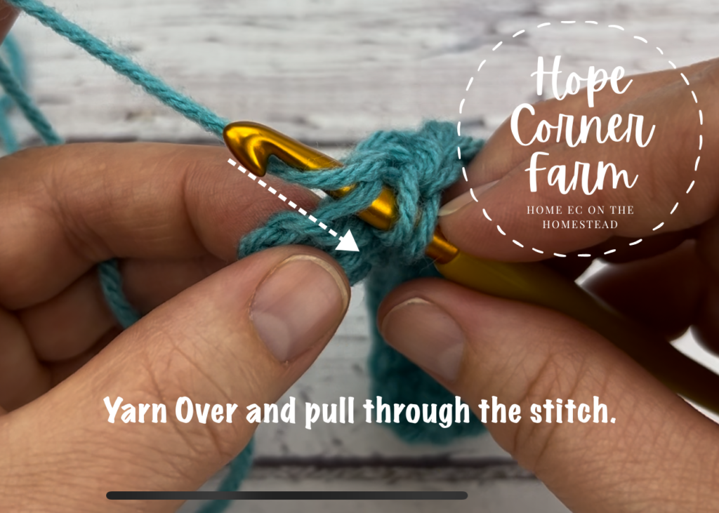 Yarn over and pull through the crochet stitch