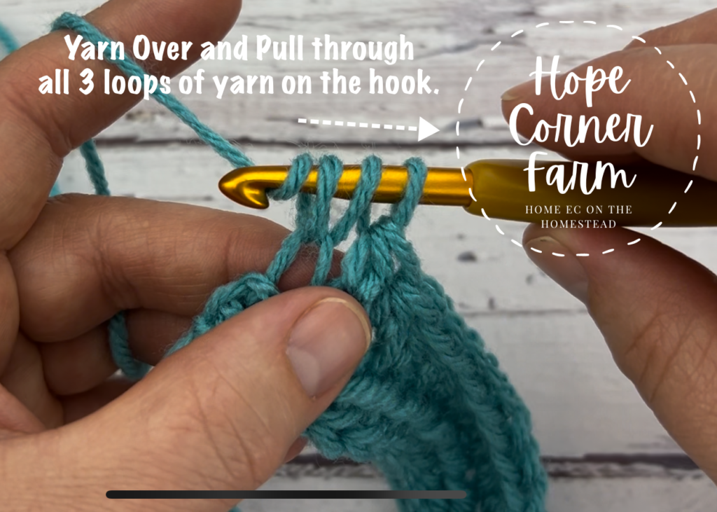 Yarn over and pull through all 3 loops on the crochet hook