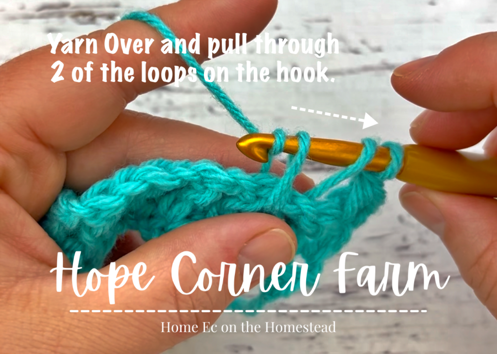 Yarn over and pull through 2 loops of yarn on the crochet hook