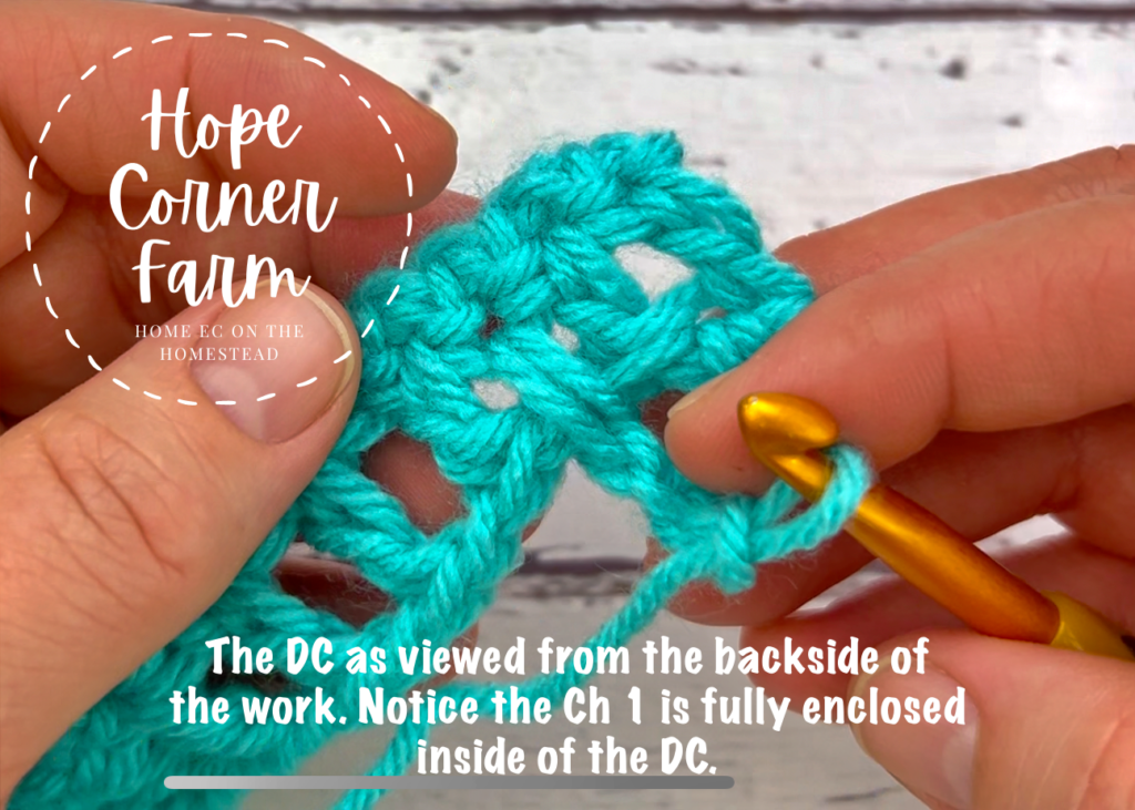 The chain 1 space fully enclosed in the double crochet stitch