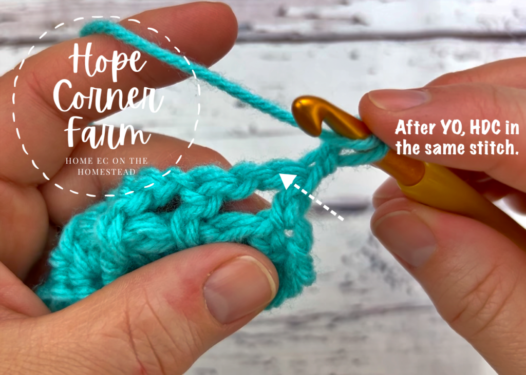 Place a half double crochet stitch in the first stitch