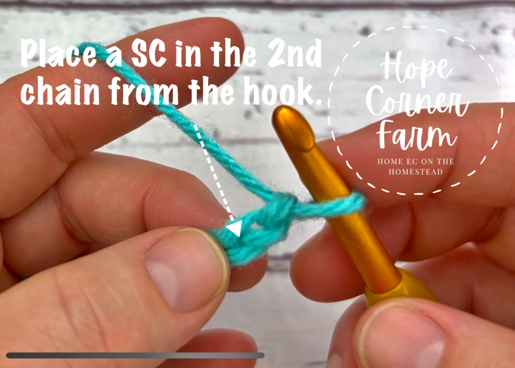 Place a single crochet stitch in the 2nd chain from the crochet hook