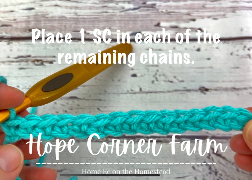 Row of single crochet stitches in the chain